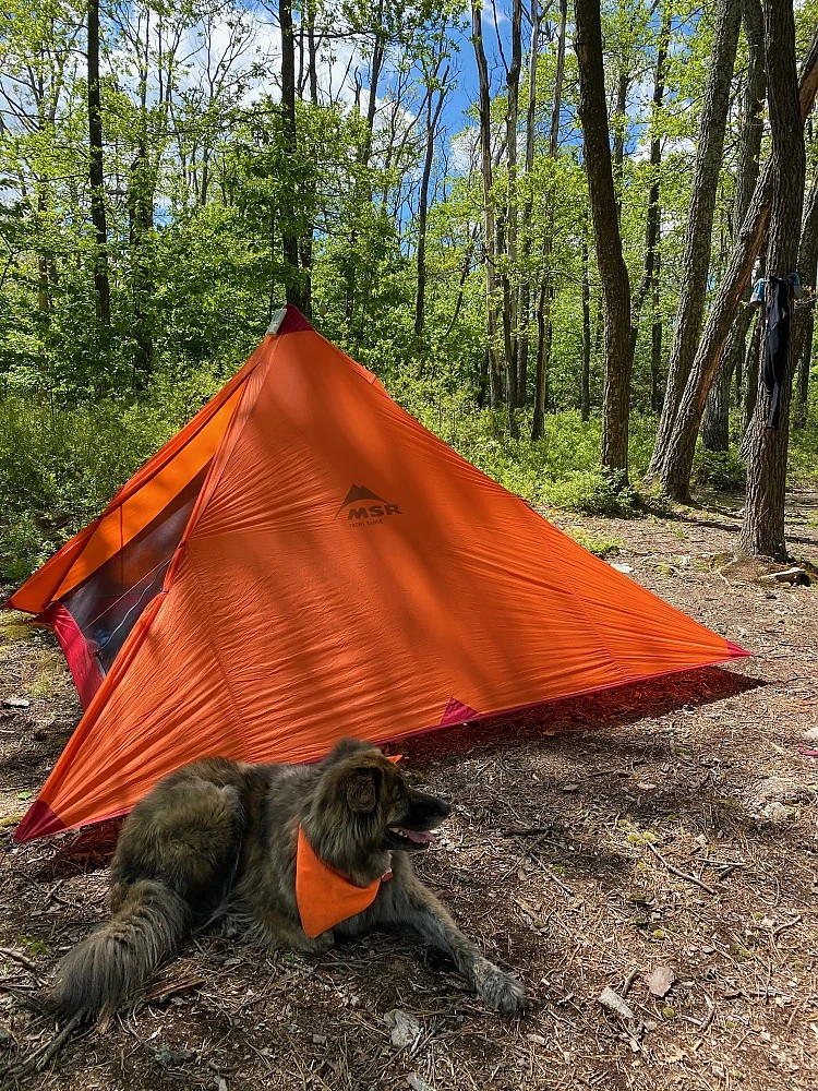 MSR Front Range Bug/Floor Insert - Image 20